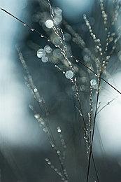 联袂登场？《漫威金刚狼》预告片暗藏绿巨人彩蛋